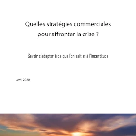 Ebook sur les crises