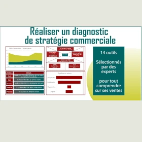 Ebook sur les outils d'audit commercial